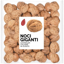 Noci Italiane in Guscio Giganti 36+
